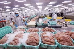 More trade remedy probes predicted for Vietnamese enterprises this year