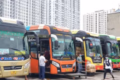 Measures devised to help transport firms overcome challenges of COVID-19