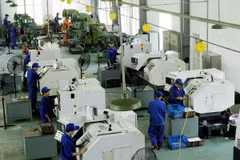 Manufacturing sector thirsty for high-quality personnel