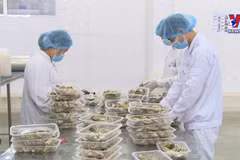 First batch of clams exported to Europe