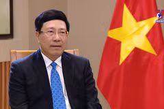 Diplomatic sector helps raise Vietnam’s fortune, position, prestige