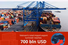 Vietnam's global import-export ranking can be improved