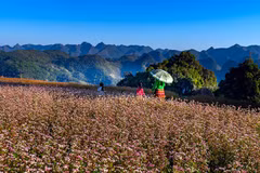 Ha Giang expects to welcome 1.4 million visitors in 2020
