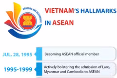 Gallery - Infographics - image 3