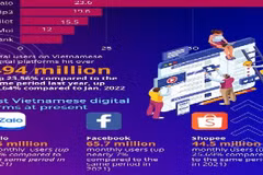 Vietnam ranks 7th in Asia-Pacific in terms of digital society