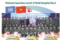 Vietnam launches Level-2 Field Hospital No.3