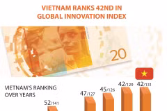 Gallery - Infographics - image 4