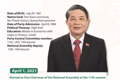  Nguyen Duc Hai elected as Vice Chairman of National Assembly