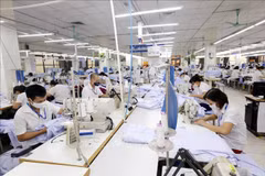 Hanoi: Newly-established enterprises up 6% in 10 months
