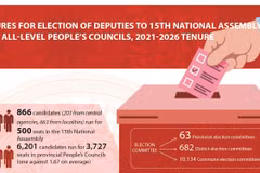 Figures for elections of deputies to National Assembly and People's Councils