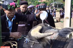 Buffalo worship of Lu ethnic group