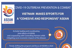 Gallery - Infographics - image 6