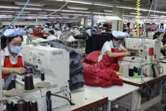 RoK firm hopes to invest in Ha Nam 