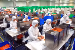 Vietnam attracts over 11 billion USD FDI in first half of 2016