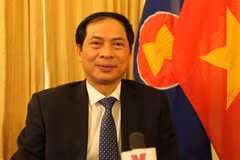 Vietnam gives heed to int’l integration in foreign policy: Deputy FM 