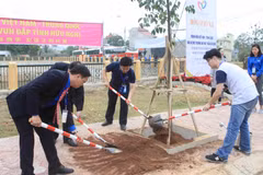 Youths plant trees to show Vietnam-China “forever green” amity