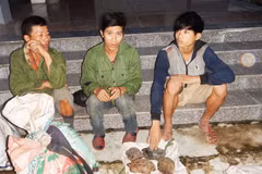 US willing to help Vietnam combat wildlife trafficking 