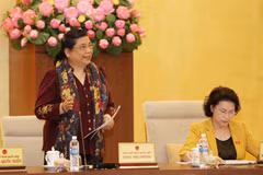 NA Standing Committee outlines supervision, lawmaking plans for 2017