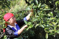 Changing minds helps farmers change lives