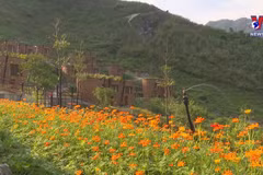 Ha Giang tourism struggles to adapt to COVID-19