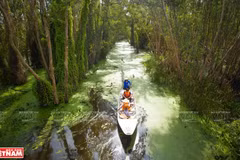 Great potential for tourism development in Long An province