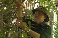 War veterans join hands for local economic development
