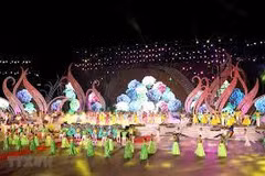 Flower festival lures visitors to Da Lat