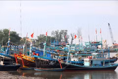 Fishing vessels dock at an estuary (Photo: VNA)