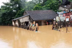 Hung Yen focuses on climate change adaptation, mitigation