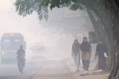 Indonesia forest fire suspects named