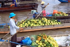 Mekong Delta region boosts tourism products 