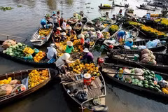 River-based tourism to boom in Mekong Delta