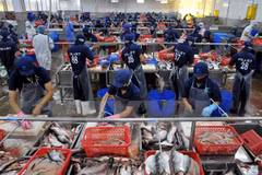  TPP agreement to have substantial impact on Vietnamese economy