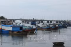 WB considers loan for environmental sanitary project