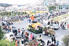 Flower festival returns to Da Lat