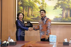 Vietnam seeks closer judicial cooperation with Indonesia