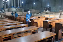 EU now Vietnam’s fourth biggest timber, wood product buyer