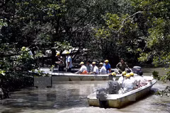 Vietnam welcomes over 6.33 million foreign tourists in 10 months