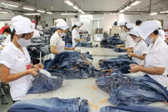 Vietnamese firms seek to increase exports to US 