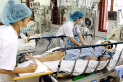Health Ministry seeks to boost IT application in management