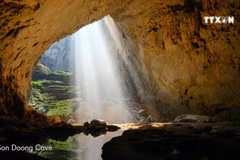 Vietnam nominated for six p at 2019 World Travel Awards