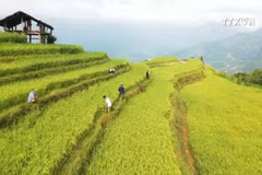 Tourist magnet in Ha Giang strives for sustainable development