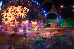 Flower Festival to return to Da Lat in December