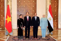 President’s visits to Ethiopia, Egypt create momentum for bilateral ties