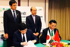 Mai Linh group cooperates in passenger transport with Japan’s Willer 