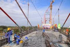 Tien Giang attracts over 310 million USD in investment 