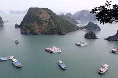 Ha Long Bay’s water under threats