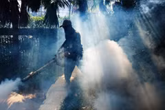 Thailand’s northeast faces risk of dengue fever outbreaks 