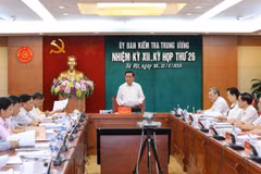 Party commission announces violations in Mobifone’s AVG purchase