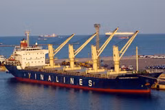 Equitised SOEs struggle to attract strategic investors
